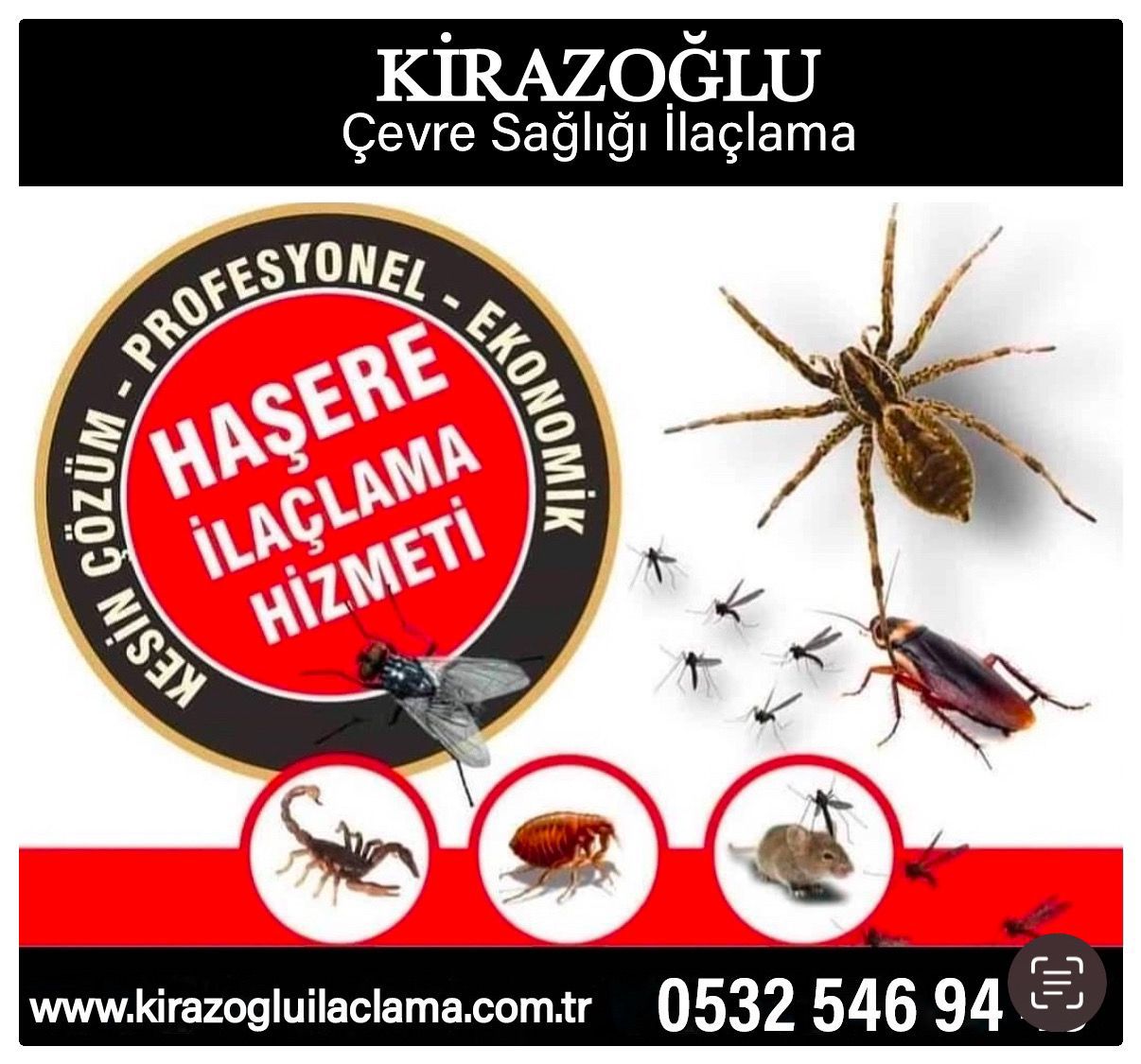 kiraz1