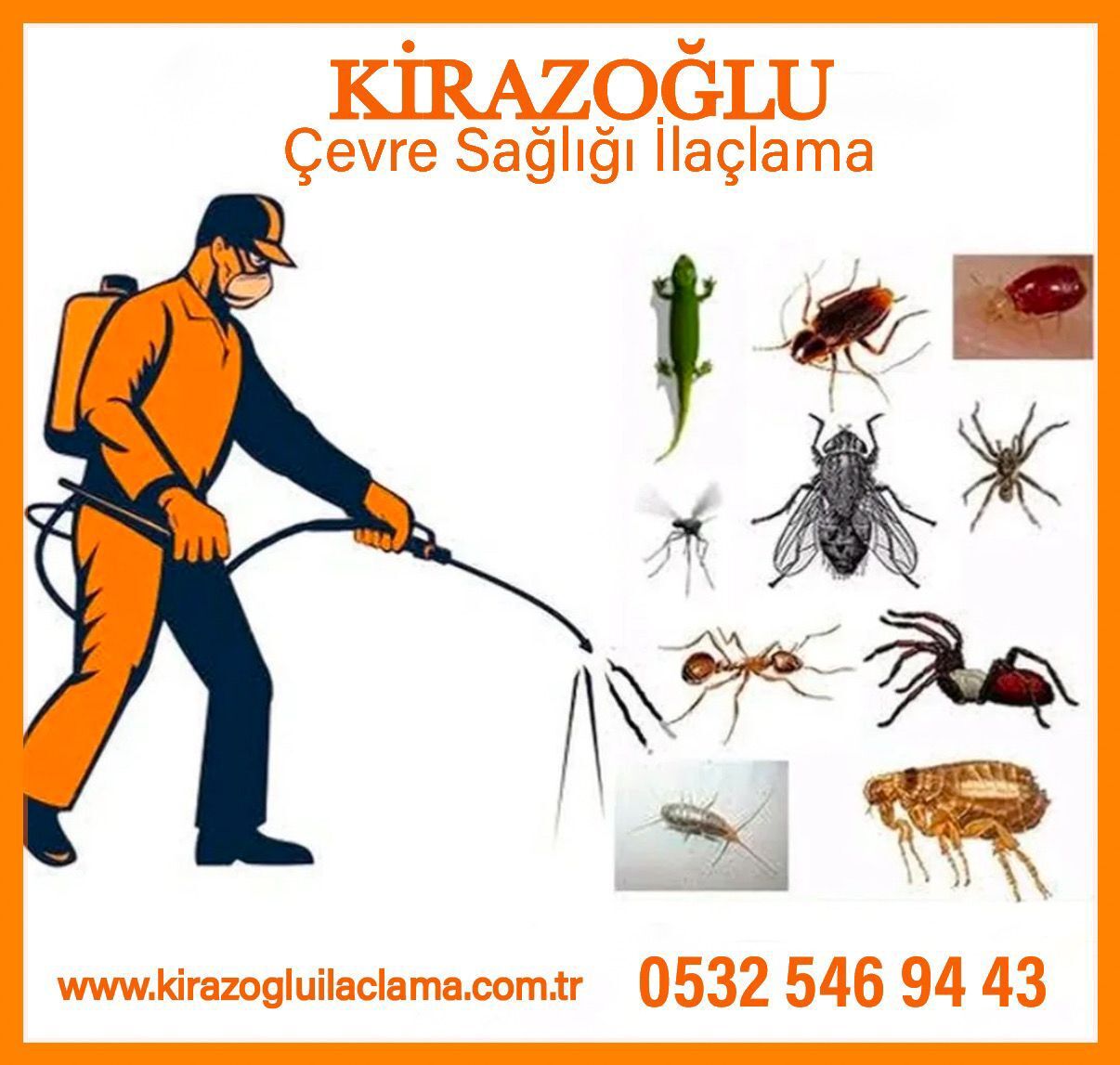 kiraz2