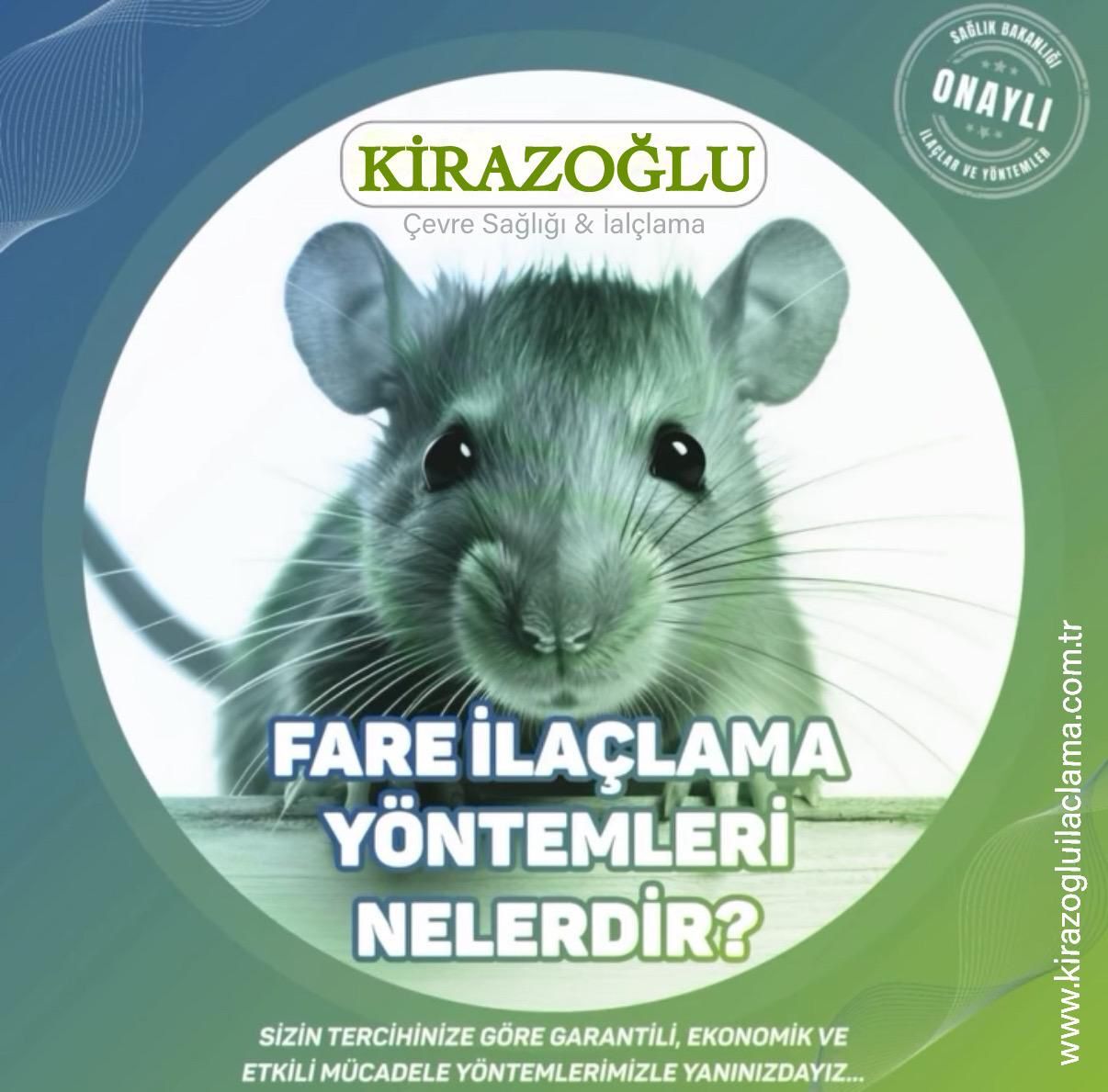 kiraz6
